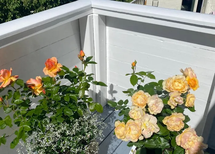 Utleie Av Romslig Og Velutstyrt 10 Minutter Fra Sentrum For Opptil 4 Personer Stavanger